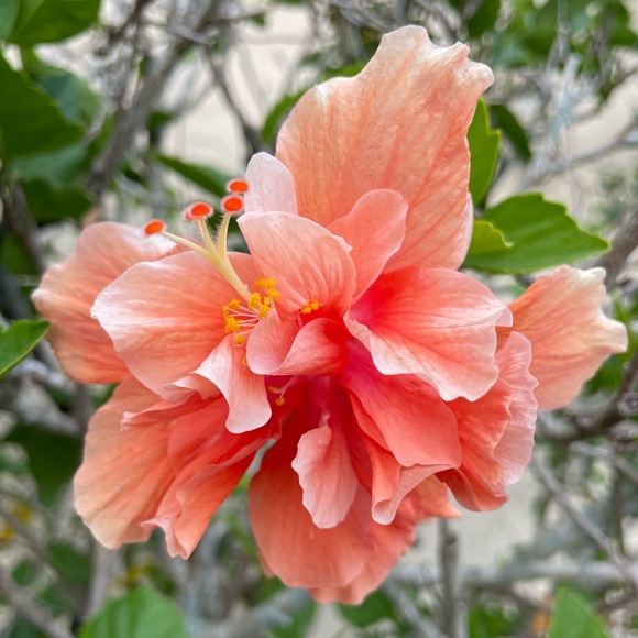 Meet us! One With The Sea - Picture 6 of 10